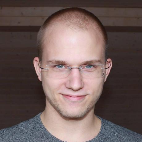 Jesse Lisser, Software developer